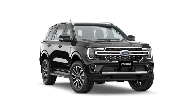 Everest Platinum