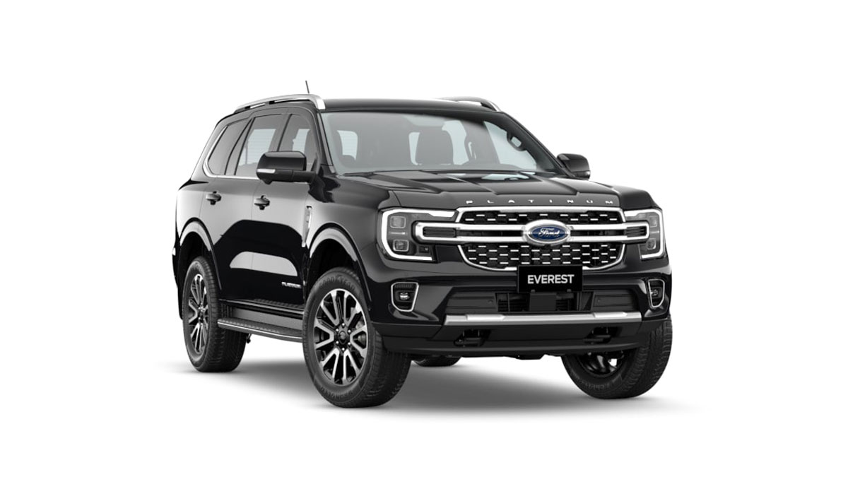 Everest Platinum