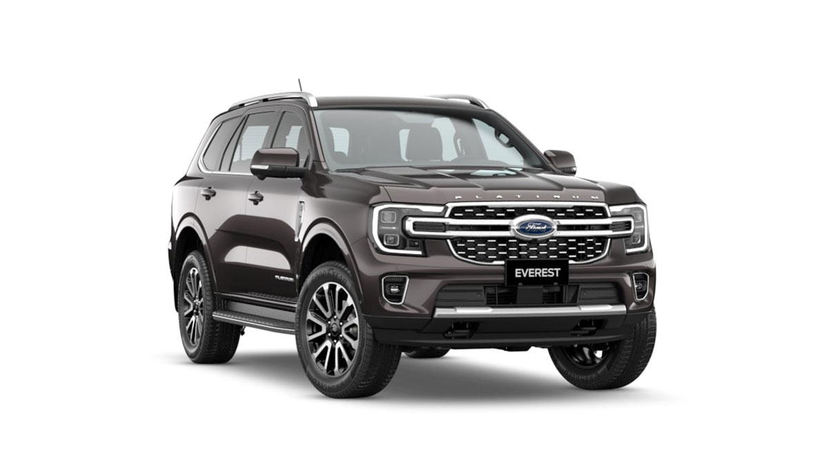 Everest Platinum