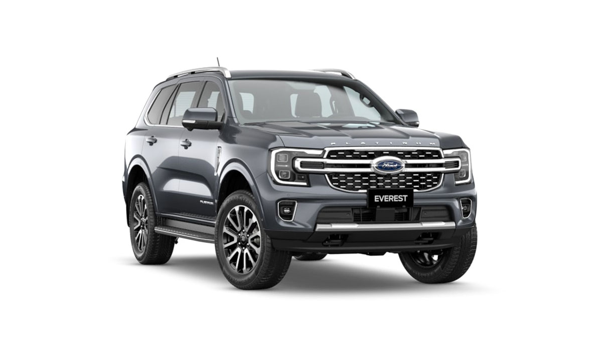 Everest Platinum